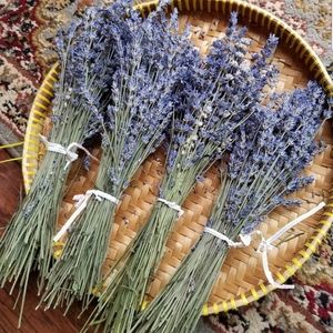 Organic Dried Lavender- 2 bunches